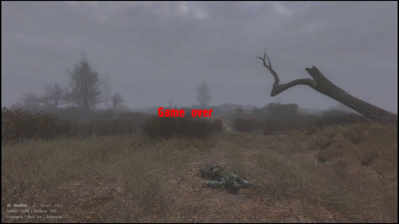 STALKER: Fallout for Men