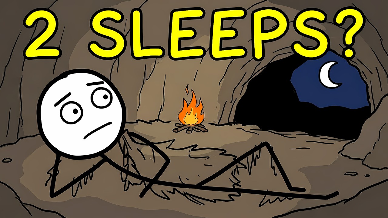 The Night Life of Ancient Humans: The Evolution Around Campfire
